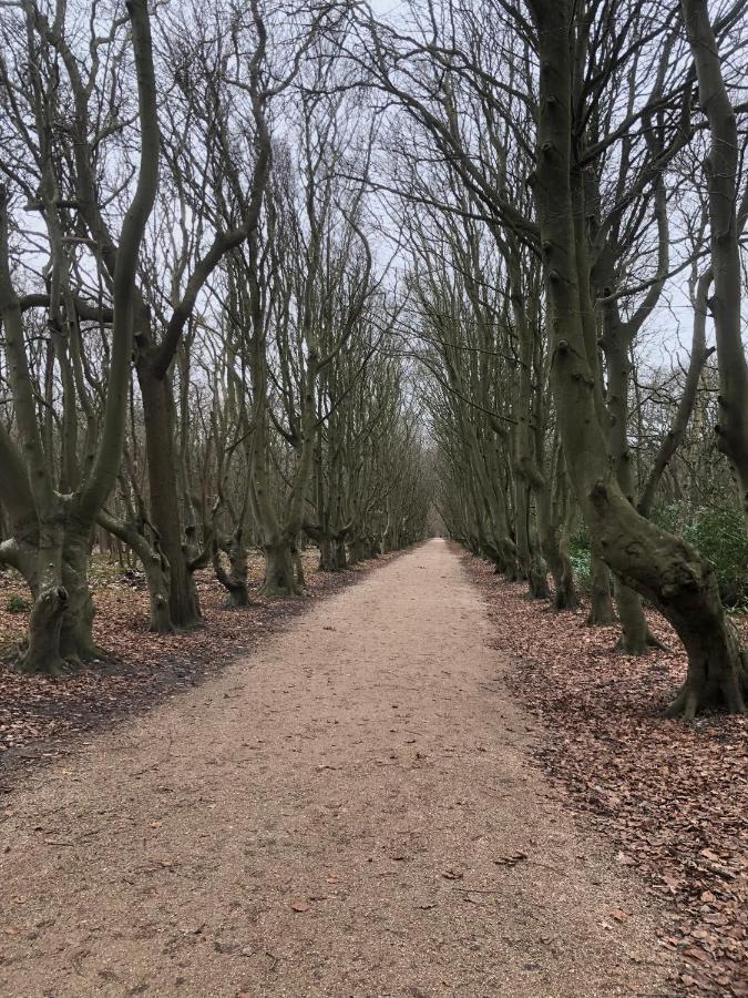 Dorpsdijk 49, Vrouwenpolder